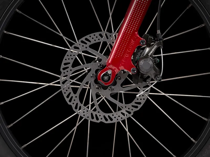 TREK Roscoe 20 Kids Mountain Bike in Red-3